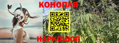 PSILOCYBIN Балаково